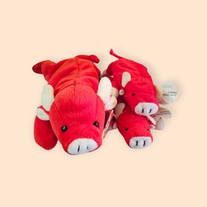 Tabasco the Bull 4th Gen ty